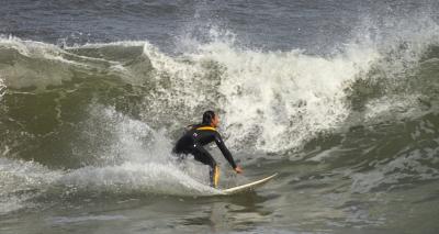 IMG18521x.jpg