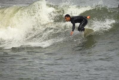 IMG18556x.jpg