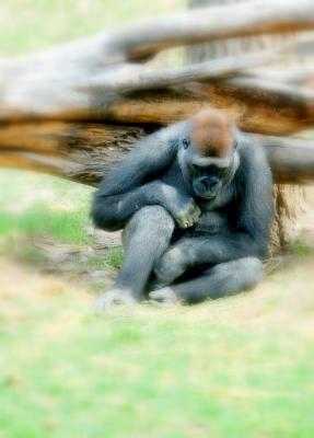 DSC_0132.JPG
