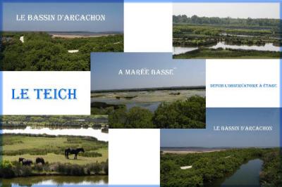 Park Le Teich - SW France