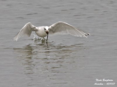 g3/12/647912/3/88730119.oz5coy3f.jpg