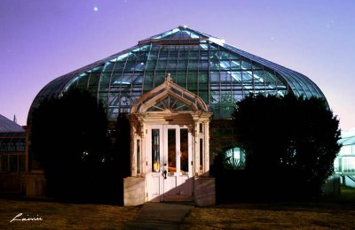greenhouse 7064 night photo