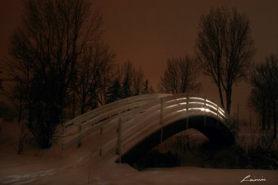 Mooney's Bay  0291  light painting  