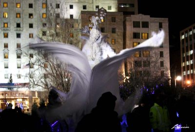 winterlude 10 1755 night photo