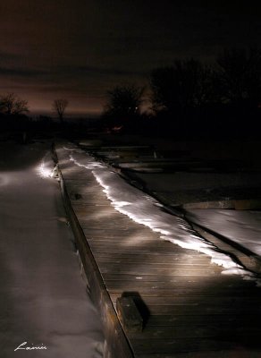 Petrie Island 2558 light painting  