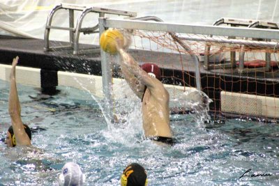 Water Polo