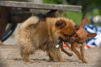 Aug6_08_398.jpg