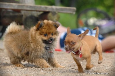 Aug6_08_399.JPG