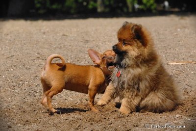 Aug6_08_403.jpg