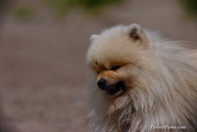 Aug11_08_283.jpg