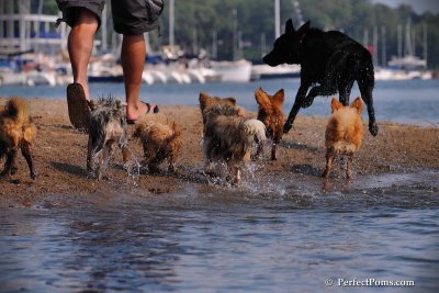 Aug24_08_316.JPG