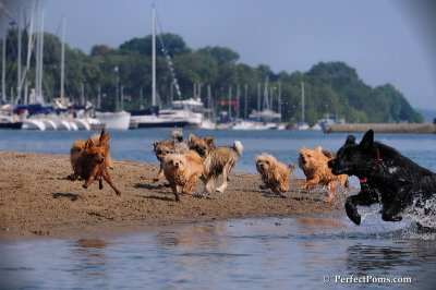 Aug24_08_328.JPG