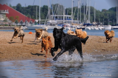 Aug24_08_331.JPG
