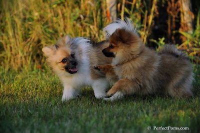 Sept7_08_048.jpg