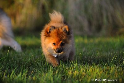 Sept7_08_049.jpg