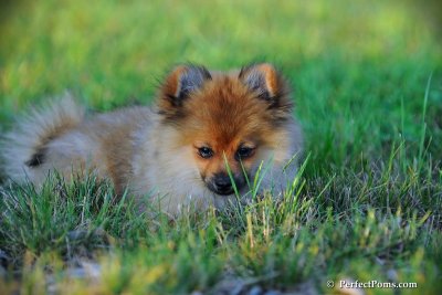 Sept7_08_050.jpg