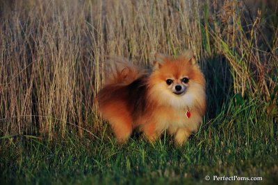Sept7_08_054.jpg