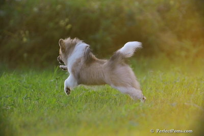 Sept7_08_059.jpg