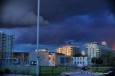 Sept7_08_077.JPG