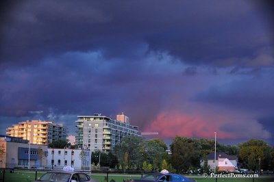 Sept7_08_078.JPG