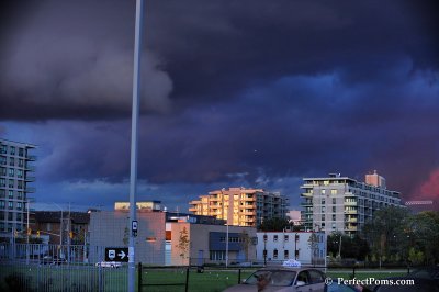 Sept7_08_079.JPG