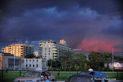 Sept7_08_083.JPG