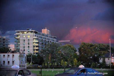 Sept7_08_084.JPG