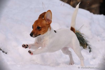 Jan23_08_258.jpg