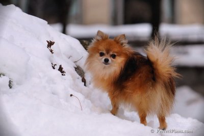 Jan23_08_278.jpg