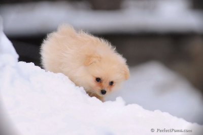 Jan23_08_280.jpg