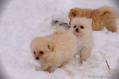 Jan23_08_477.jpg