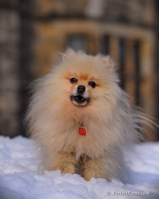 Jan27_09_208.JPG
