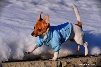 Feb2_09_009.JPG