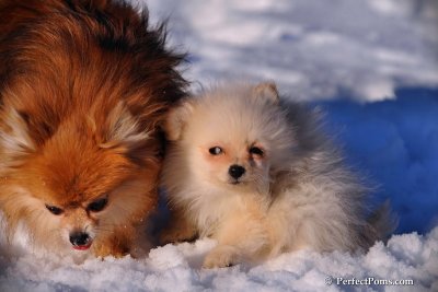 Feb2_09_011.JPG