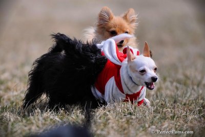 Apr11_09_109.jpg