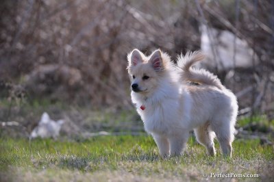 Apr19_09_169.JPG