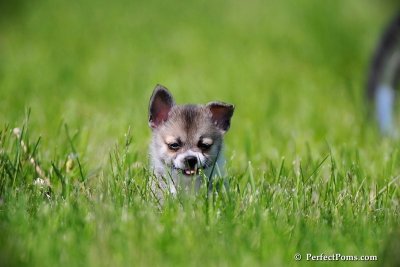 May30_09_031.jpg
