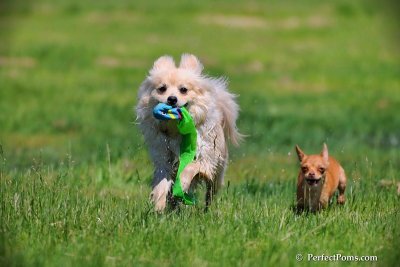 May30_09_049.jpg