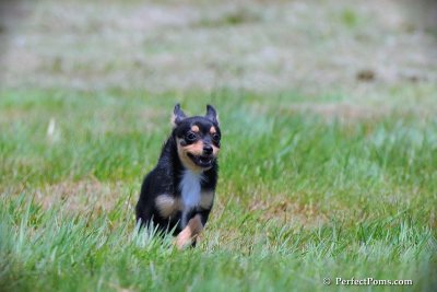 June4_09_162.JPG