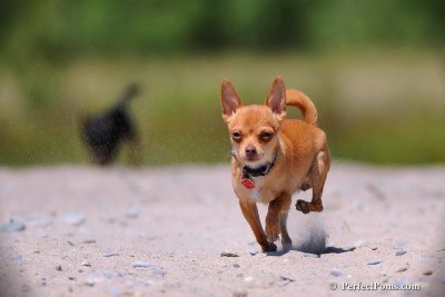 June16_09_282.jpg