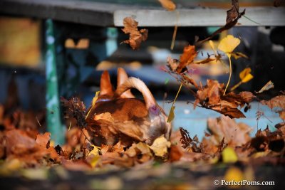 Nov22_09_187.JPG