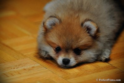 Feb10_10_102.jpg