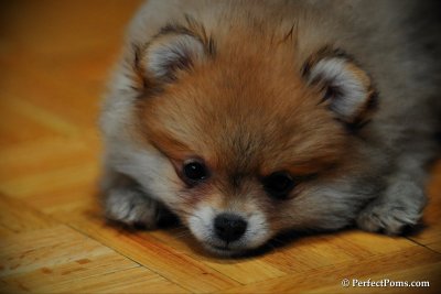 Feb10_10_103.jpg