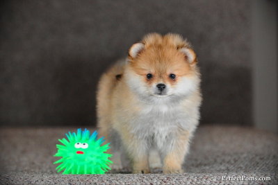 Feb10_10_050.jpg