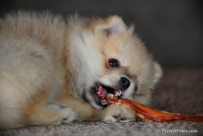 Feb10_10_073.jpg