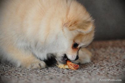 Feb10_10_081.jpg