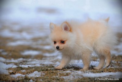 Feb13_10_102.jpg