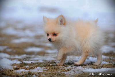 Feb13_10_103.jpg
