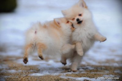 Feb13_10_107.jpg