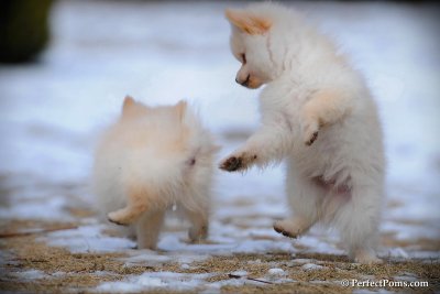 Feb13_10_108.jpg